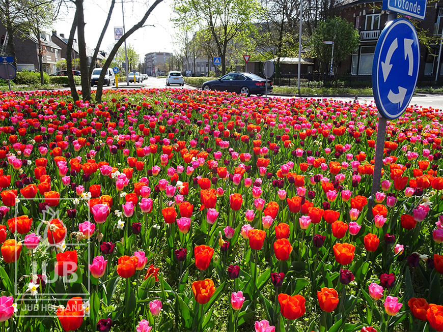 Amalia roundabout