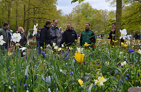 Special mix of naturalising bulbs and perennials attracts lots of attention at Keukenhof (NL)