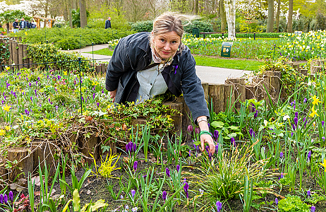 Special mix of naturalising bulbs and perennials attracts lots of attention at Keukenhof (NL)