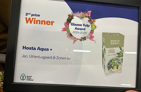 People’s Choice Award and 2nd prize from the professional jury at the Glazen Tulp Award by Royal Flo