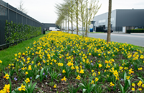 Kleurrijke transformatie op het ITC-terrein in Hazerswoude-Dorp