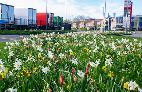 Kleurrijke transformatie op het ITC-terrein in Hazerswoude-Dorp