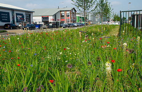 Kleurrijke transformatie op het ITC-terrein in Hazerswoude-Dorp