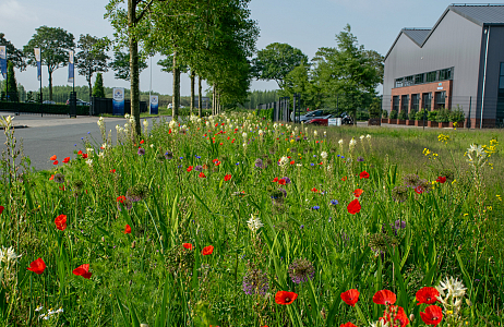 Kleurrijke transformatie op het ITC-terrein in Hazerswoude-Dorp
