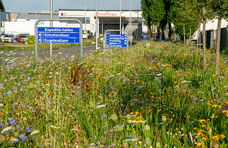 Kleurrijke transformatie op het ITC-terrein in Hazerswoude-Dorp