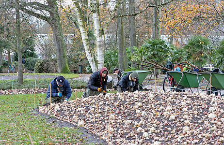 JUB Holland presents a new border in Keukenhof: ‘A Mysterious Dutch Still Life’