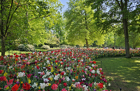 A Painterly Finale JUB Holland’s Blooming Masterpiece at Keukenhof 2025