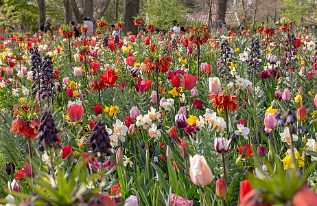 A Painterly Finale JUB Holland’s Blooming Masterpiece at Keukenhof 2025