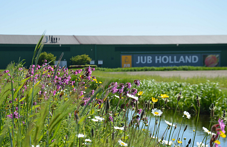Bollenvogels bij JUB Holland – broedsucces van gele kwikstaarten