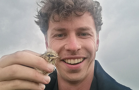 Bulb Birds at JUB Holland – Breeding Success of Yellow Wagtails