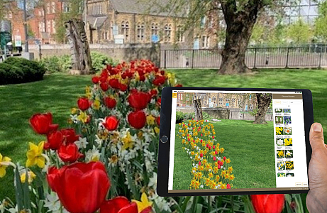 From Vision to Reality: University of Leeds brings spring to life with JUB Holland’s Flower Designer