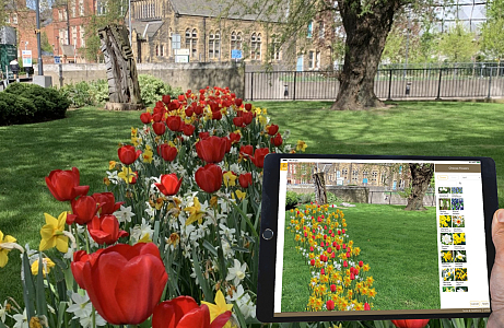 From Vision to Reality: University of Leeds brings spring to life with JUB Holland’s Flower Designer