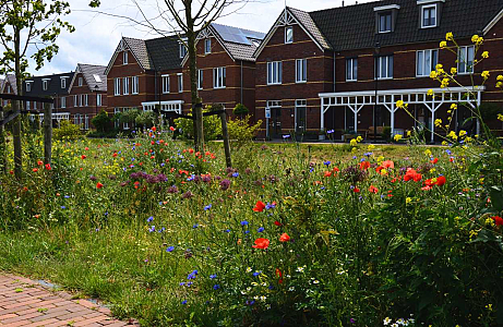 Van bouwplaats naar bloemenzee