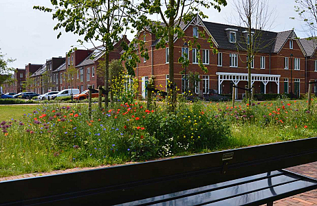 Van bouwplaats naar bloemenzee