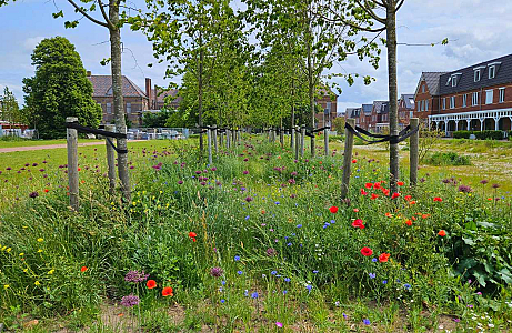 Van bouwplaats naar bloemenzee