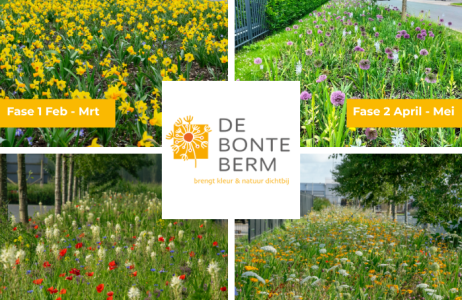 Van inspiratie naar realisatie: Samen vergroenen we bedrijventerreinen