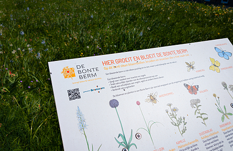  Bonte Bermen in Limburg: biodiversiteit in volle bloei
