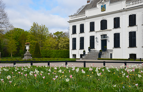  Bloembollen als verkeersmaatregel in historisch Park Velserbeek
