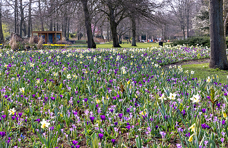 SILK - Keukenhof 21/03/2022