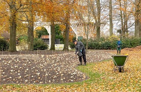 Planting borders Keukenhof - Indigo