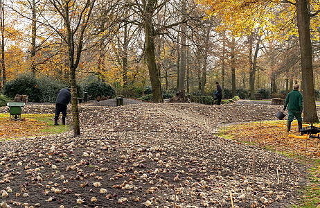 Planting borders Keukenhof - Indigo