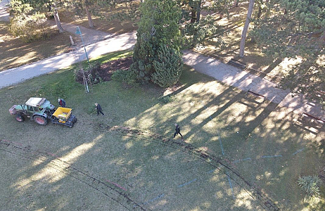 JUB holland en Kurpark Bad Vöslau onthullen nieuw bloemenmengsel voor het komende voorjaar