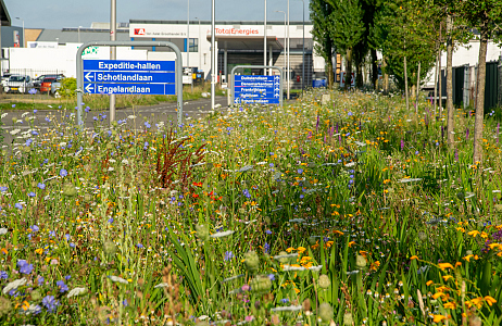 Kleurrijke transformatie op het ITC-terrein in Hazerswoude-Dorp