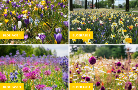 Vlaamse primeur voor De Bonte Berm in Aalst