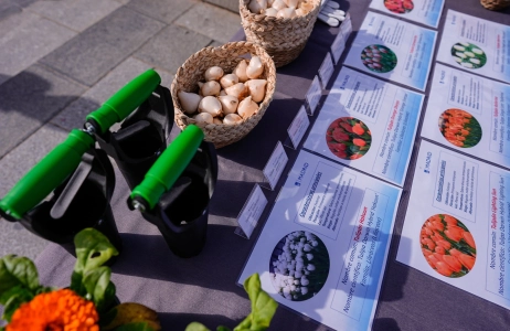 Stolz auf den königlichen Tulpengarten in Madrid
