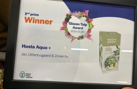 Publikumswahl-Preis und 2. Preis der Fachjury beim Glazen Tulp Award von Royal FloraHolland