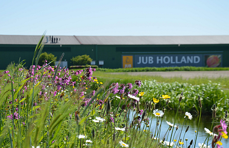 Bulb Birds at JUB Holland – Breeding Success of Yellow Wagtails