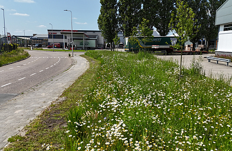 Van inspiratie naar realisatie: Samen vergroenen we bedrijventerreinen