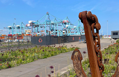  Bloembollen en vaste planten op zout stukje niemandsland