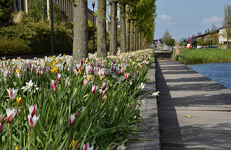 The Vibrant Verge by JUB Holland wins Pro Landscaper Sustainability and Biodiversity Award