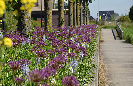 The Vibrant Verge by JUB Holland wins Pro Landscaper Sustainability and Biodiversity Award