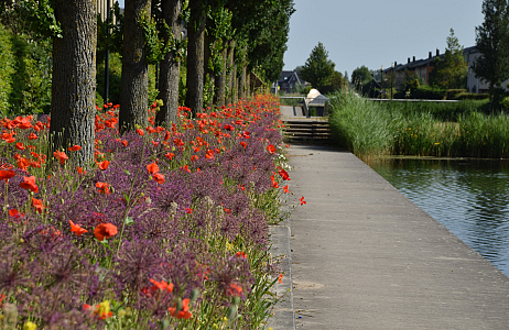 The Vibrant Verge by JUB Holland wins Pro Landscaper Sustainability and Biodiversity Award