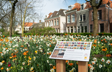  Bloembollen in het Bolwerk van Alkmaar