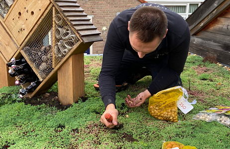  Bloembollen als sterke troef voor de hovenier