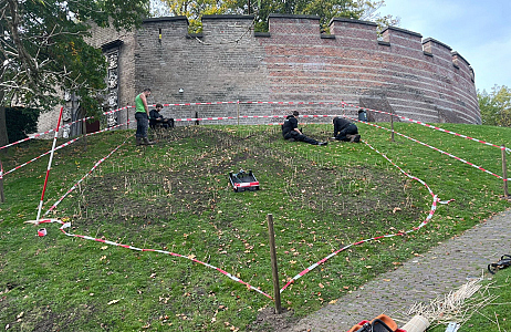  Bloembollen als sterke troef voor de hovenier