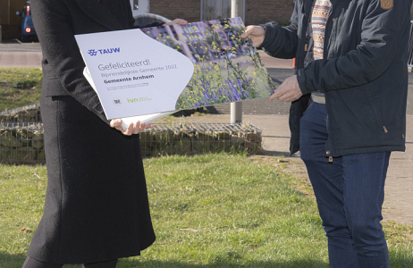 Bijvriendelijkste gemeente van Nederland: Arnhem!