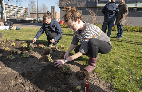 Bijvriendelijkste gemeente van Nederland: Arnhem!