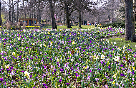 SILK - Keukenhof 21/03/2022