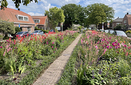 Dahlia's en Gladiolen in Amsterdam!