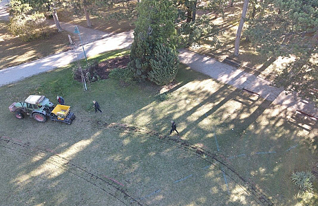 JUB holland en Kurpark Bad Vöslau onthullen nieuw bloemenmengsel voor het komende voorjaar