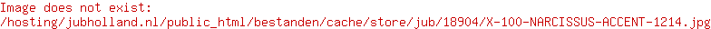NARCISSUS ACCENT