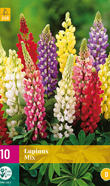 X 10 LUPINUS MIX I