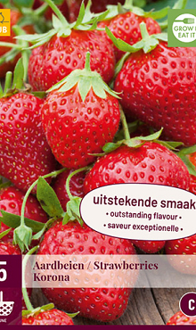 X 5 FRAGARIA / AARDBEIEN KORONA I