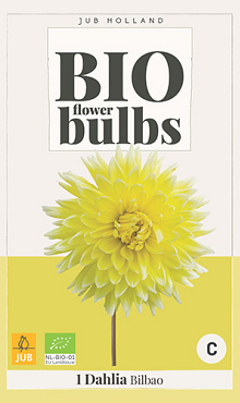 X 1 BIO DAHLIA BILBAO  I