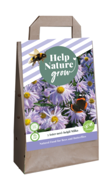 X 1 TAS 5 ASTER NOVI BELGII MILKA - HELP NATURE GROW I