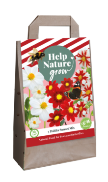 X 1 TAS 5 DAHLIA SUNSET MIX - HELP NATURE GROW I